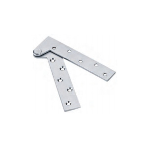 Stainless Steel Pivot Hinge
